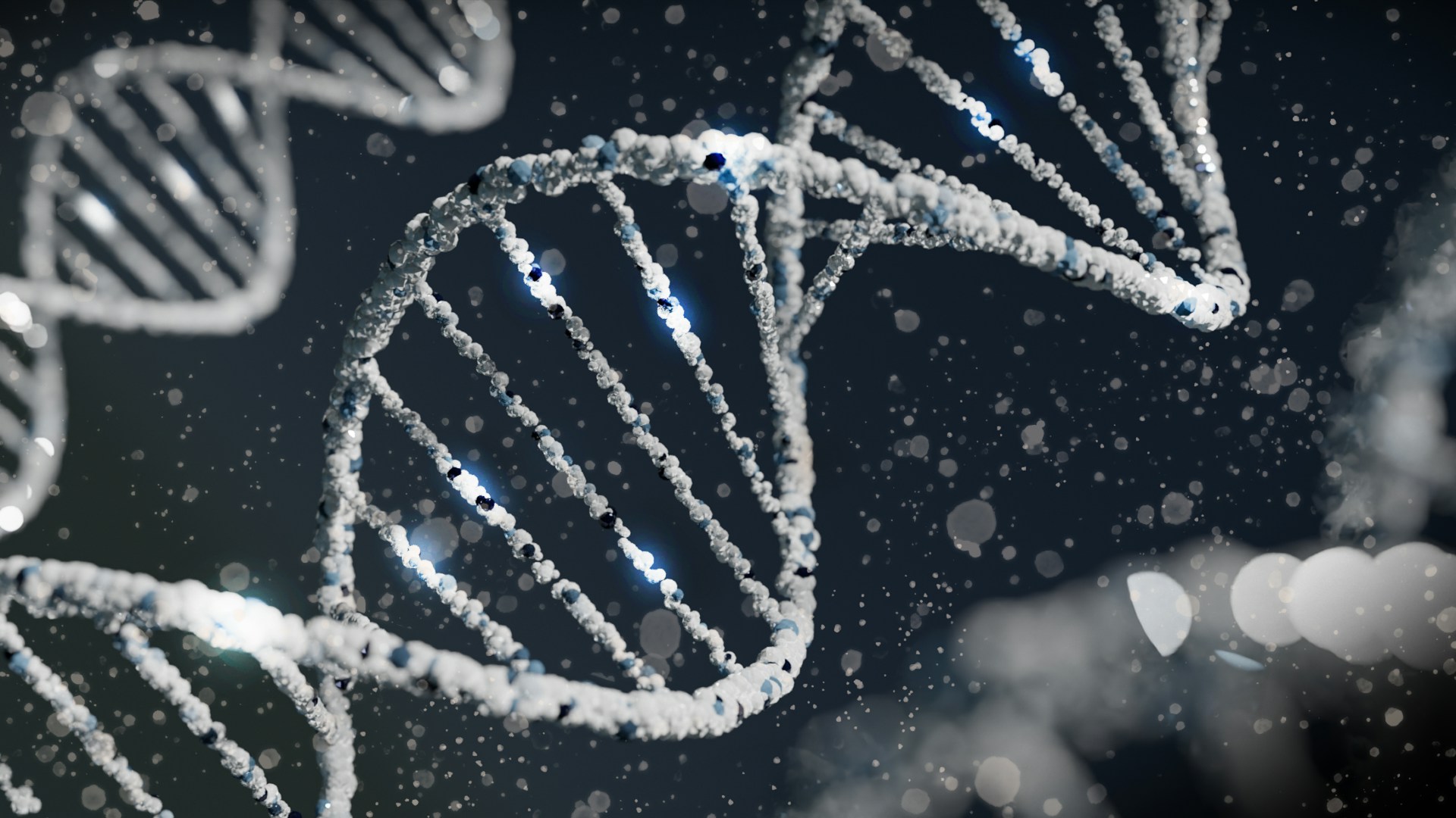 Computer-rendered DNA double helices in pale grey-blue, drifting against a dark background