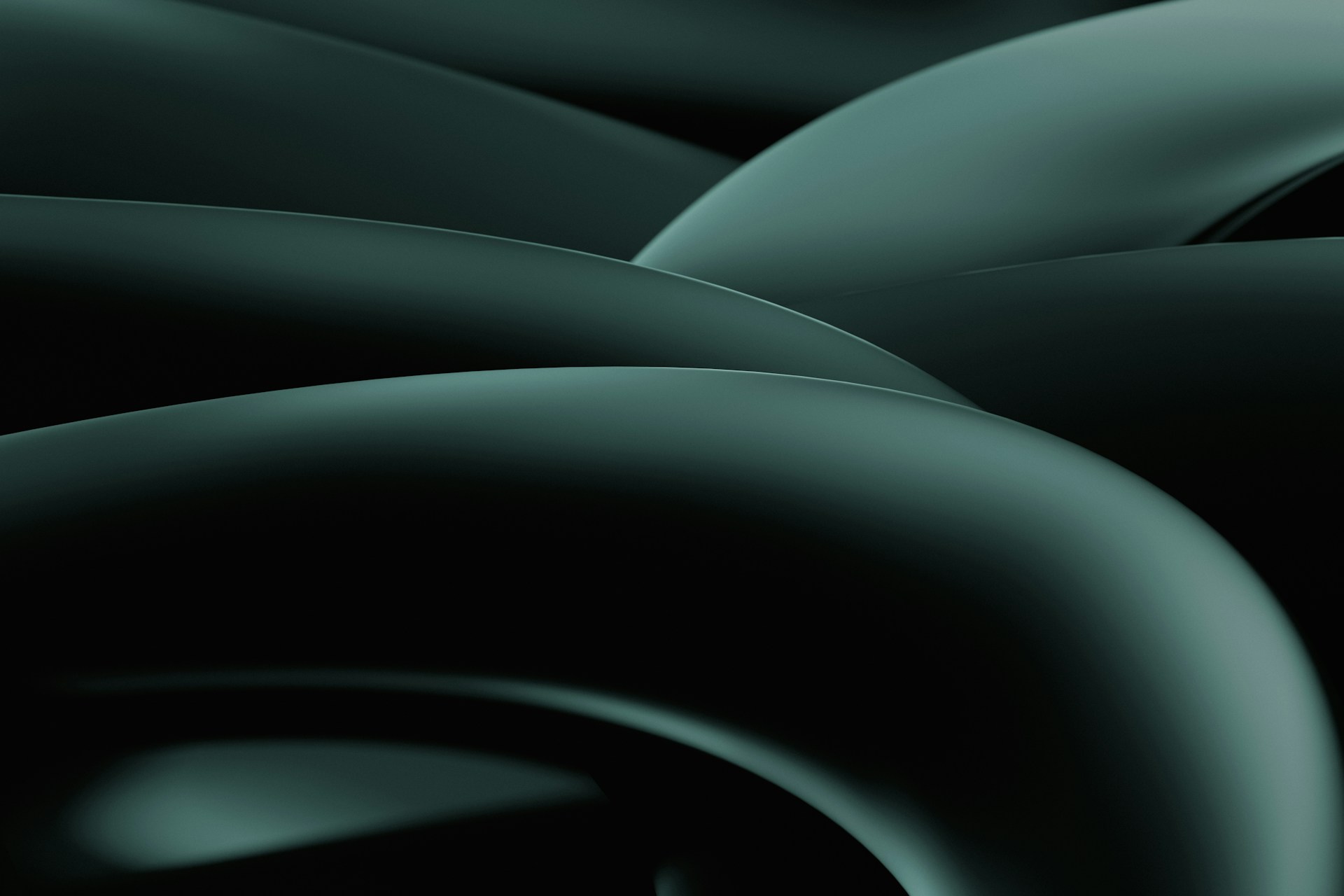 Smooth dark-green forms curving over and past one another, each lit along its leading edge